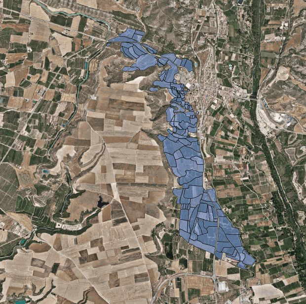 Texto de Odoo y bloque de imagen